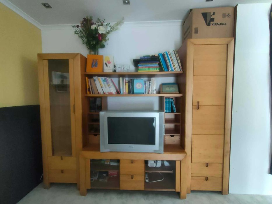 Movel de sala para livros e TV
