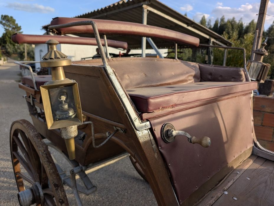 Charrete castanha para cavalos e burros – pronta para aventuras!