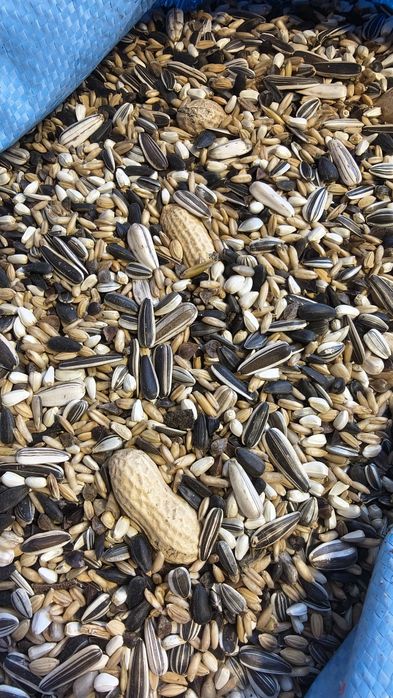 Mieszanka dla papug dużych(bez sorga i pszenicy) 20 kg 90 zł