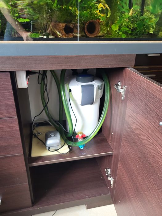 Akwaria z roślinami