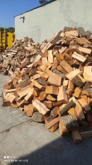 Drewno suche dąb buk grab olcha brzoa sosna