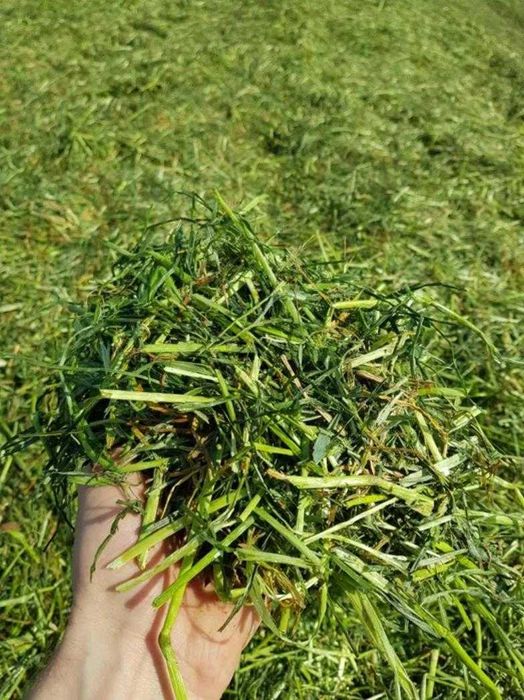 Ostrzenie noży do przyczep samozbierających pras zwijających