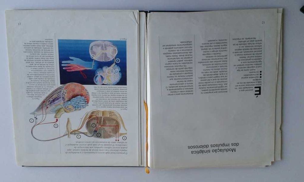 BD Capitão América / Guia Gripe