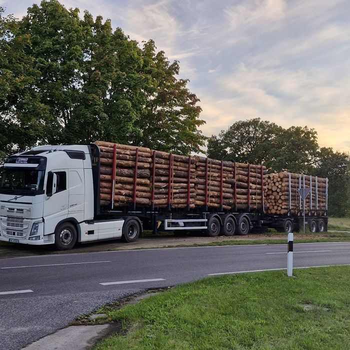 Sosna świerk tartaczny 4 5 6 12