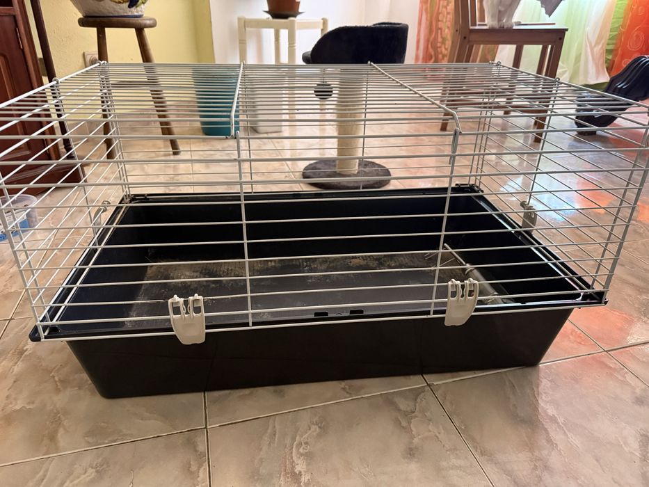 Gaiola Roedor + Ração + Feno + Absorvente