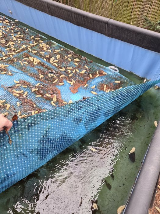 Basen stelażowy Prism 488x244x107cm