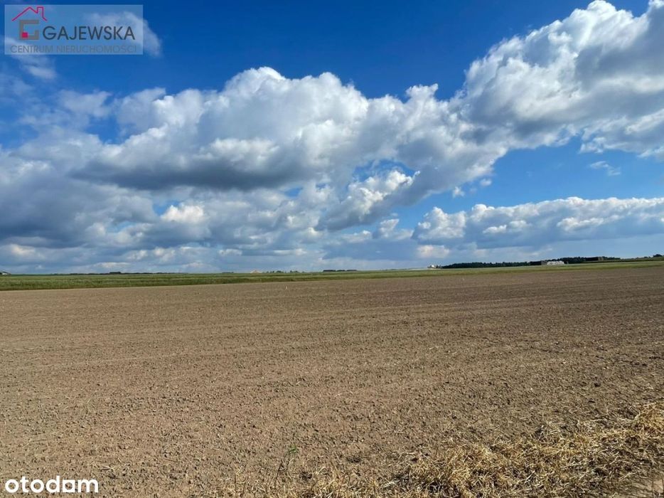 Działka budowlana przy lesie, Szydłowo ul.Ogrodowa - Widok 6