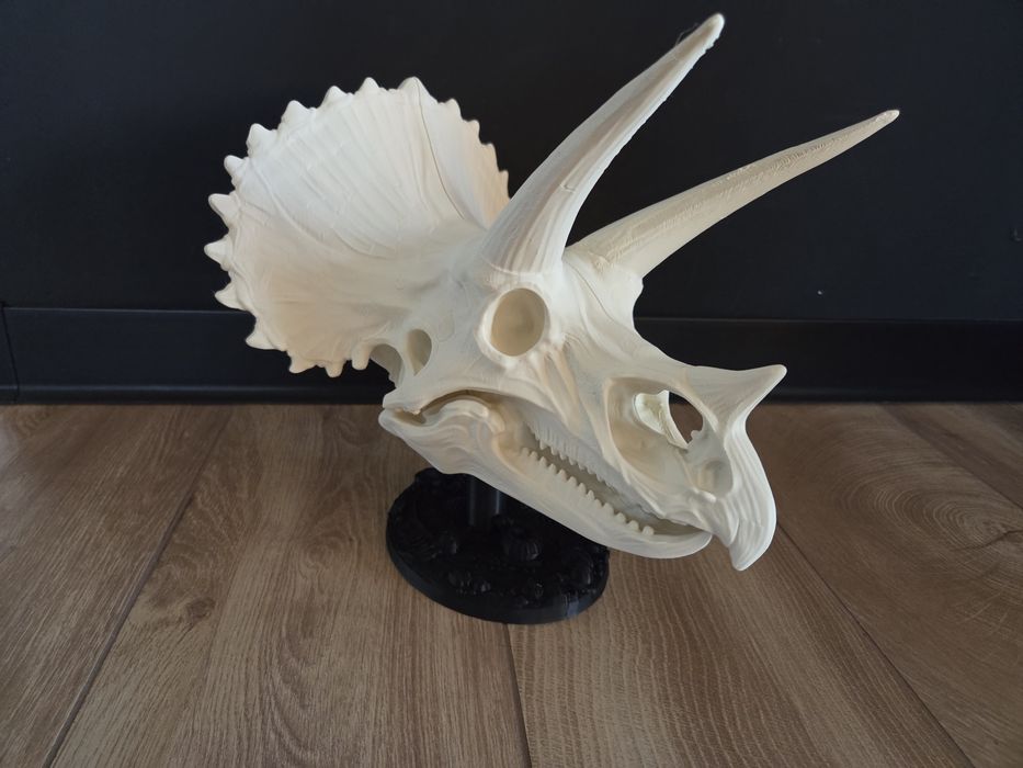 MEGA realistyczna CZASZKA TRICERATOPSA 3D 35cm – HIT!