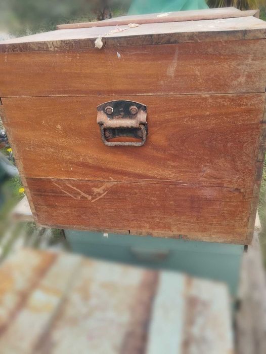 Baú / Arca Antiga