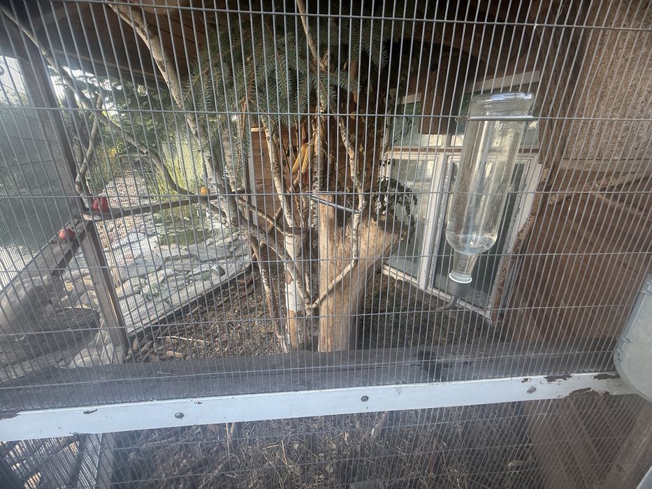 Usługi brukarskie- ogrodnicze