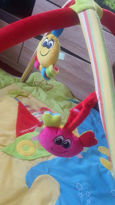 Mata edukacyjna Campol