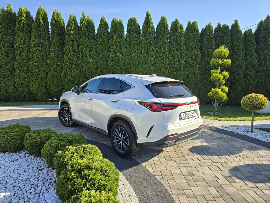 Auto do ślubu 2026,LEXUS BIALA PERŁA