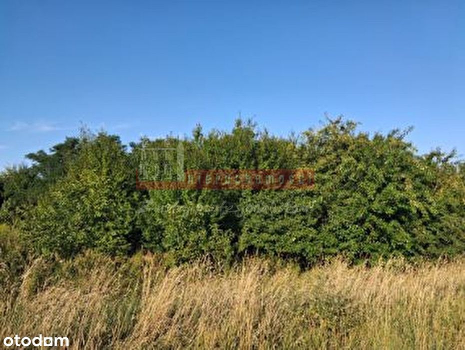 Działka na sprzedaż, 2349m², Kościerzyce
