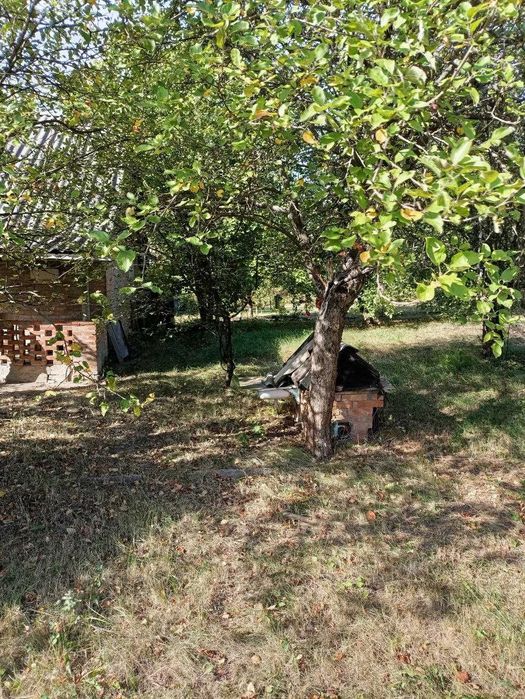 Продам дачу  село Черемушное