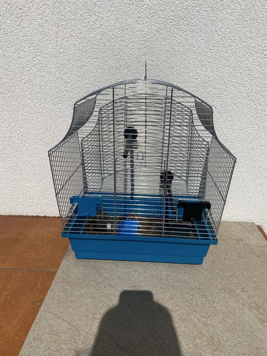 Klatka dla ptaszka papugi niebieska
