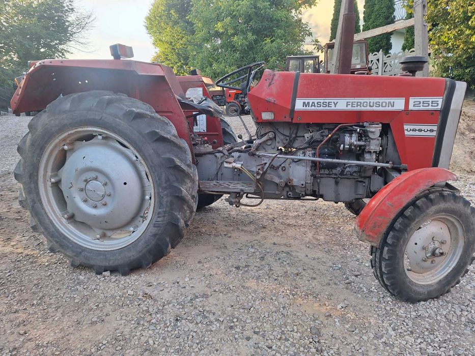 Ciagnik MF Massy Ferguson 255