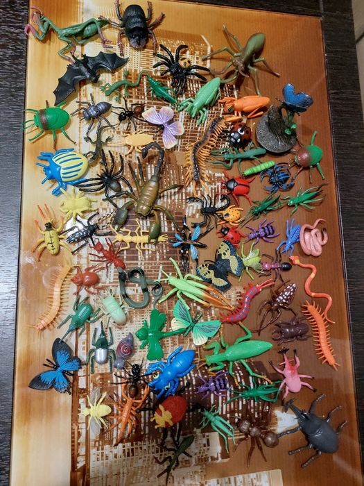 Развивающиц  набор   насекомых   .