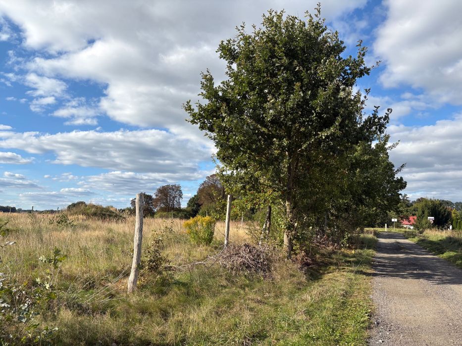 Działka Gardna Nowogard