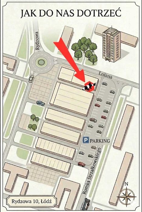 Korzeń nr 21, korzenie do aranżacji akwarium