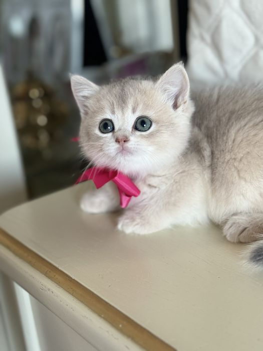 Все найкраще закладено в цих дітках.