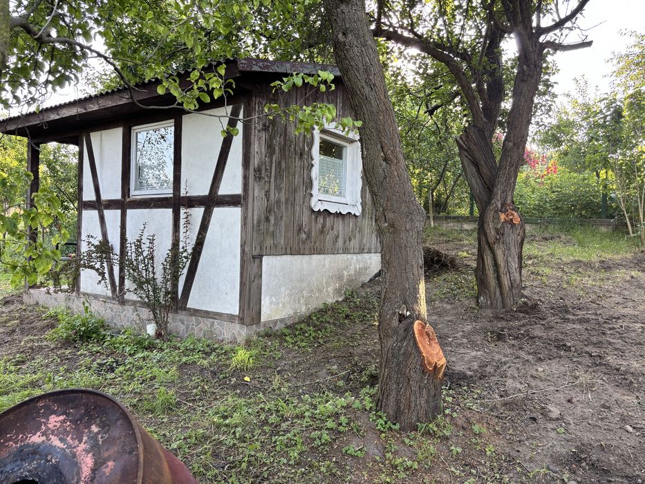 Sprzedam urokliwą działkę ROD na Wzgórzu – Gdańsk Morena (312 m²) | Domek, prąd, drzewa owocowe
