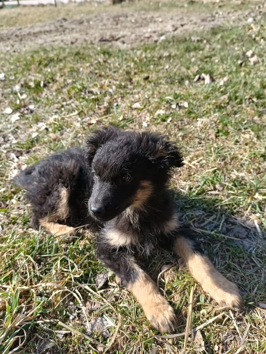 Pokochaj dużym sercem małe