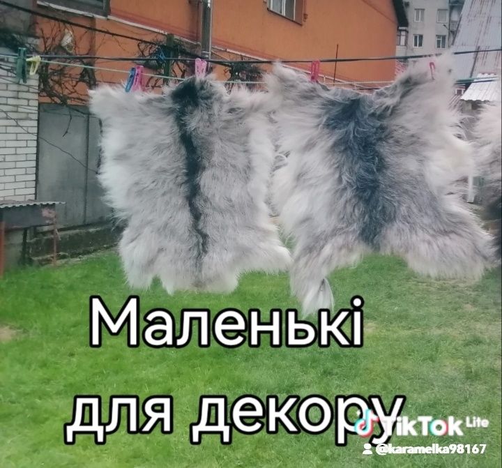 фірмові поштучно або разом