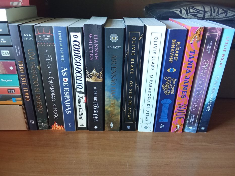 Livros Vários  temas Romance Ficção Contemporânea  Fantasia