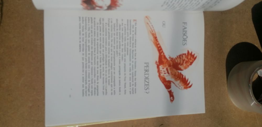 A propósito de caça. João Maria Bravo