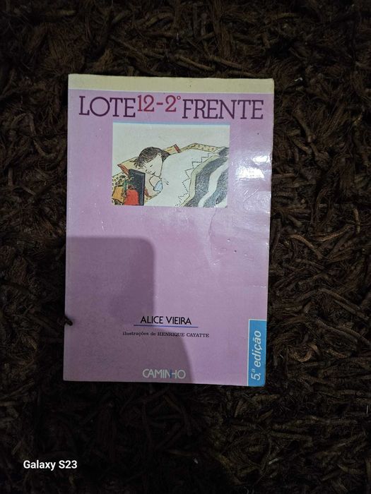 Livro: Lote 12, 2.º Frente de Alice Vieira, 5a Edição