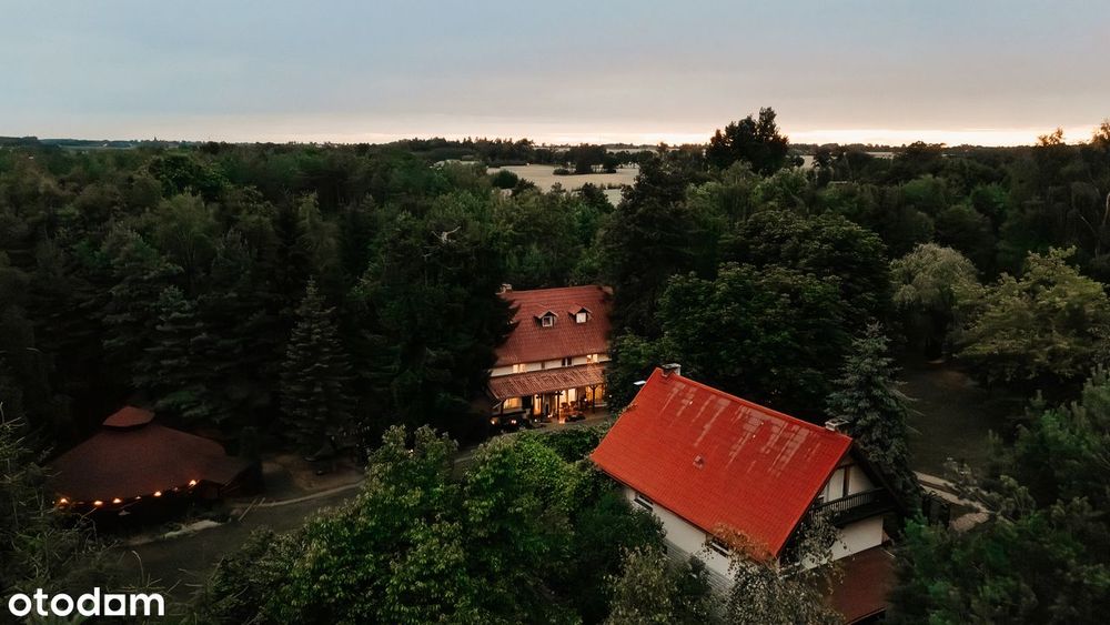 Siedlisko z linią brzegową rzeki na pograniczu Kaszub i Kociewia