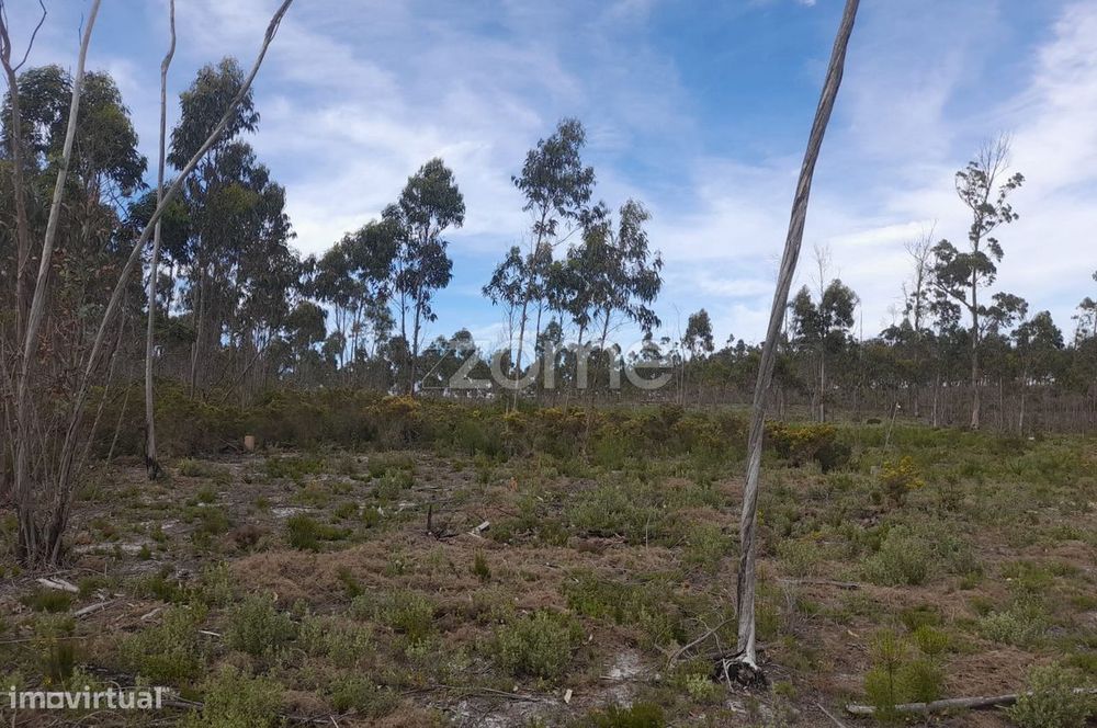 Terreno Rustico com 12580m2