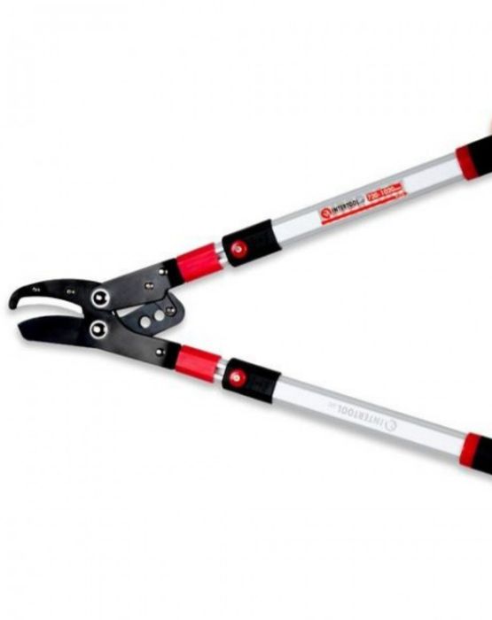 Сучкоріз садовий