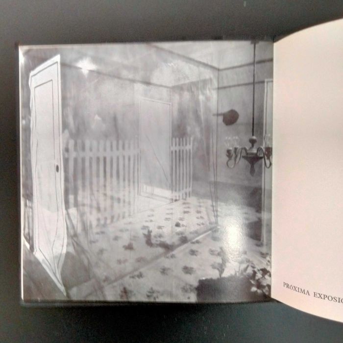 Ana Vieira - Galeria Judite da Cruz