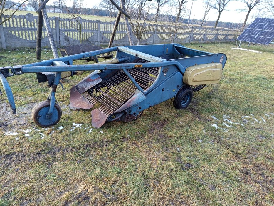 Ziemniaki warzywa chrzan cebula kopaczka