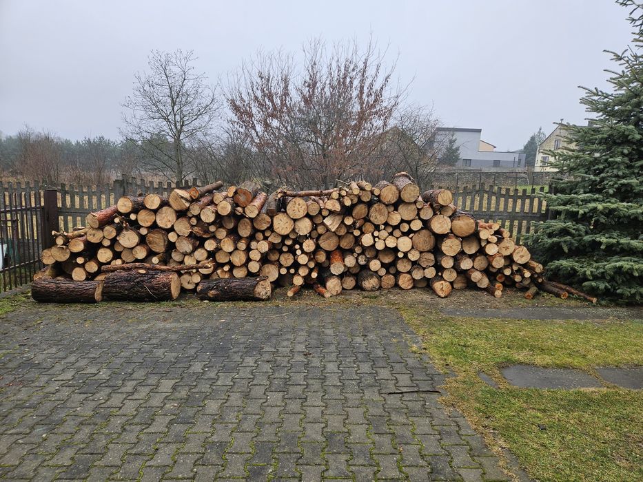 Drewno opałowe sosnowe