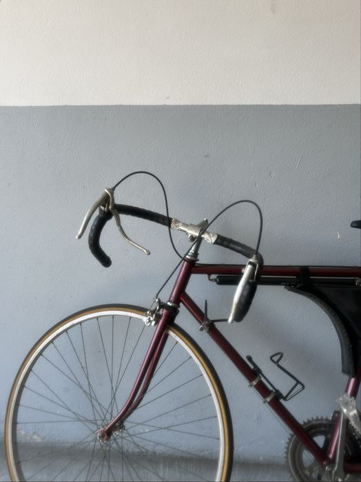 Bicicleta adulto