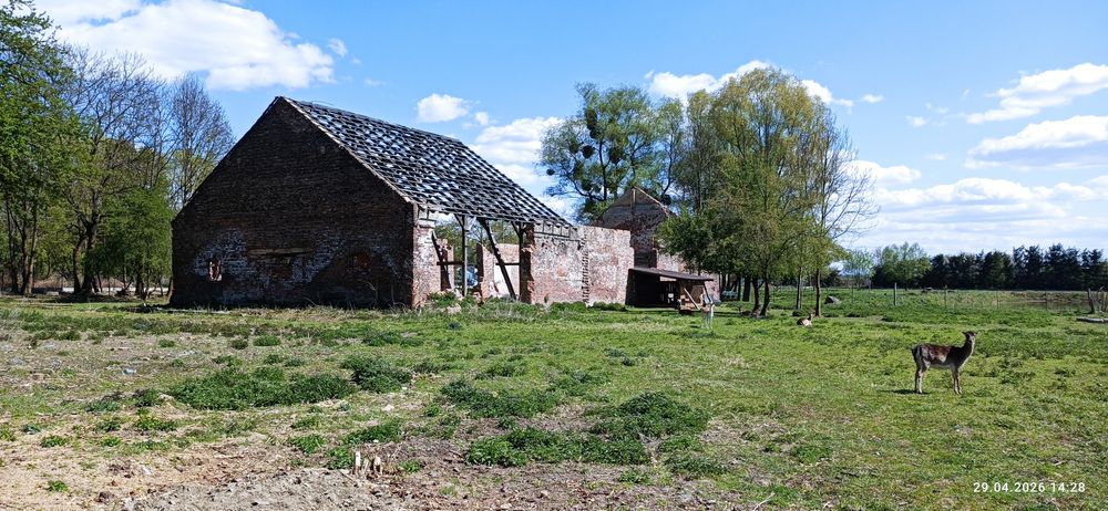 Stara cegła z rozbiórki stodoły