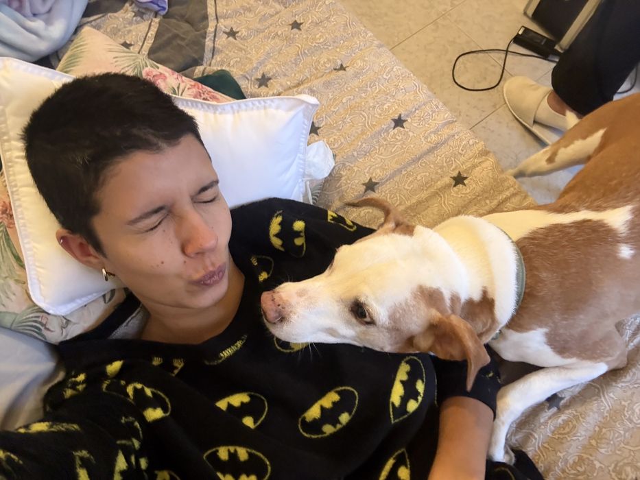 Tomar conta/ Passeio de caẽs. Dog walking. Petsitting. Pet care