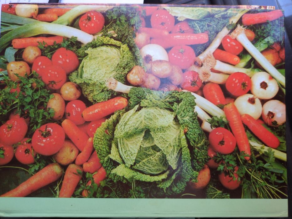 As plantas nossas amigas