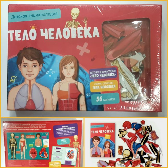 Динозавры Детская интерактивная энциклопедия с магнитами в короб НОВЫЕ