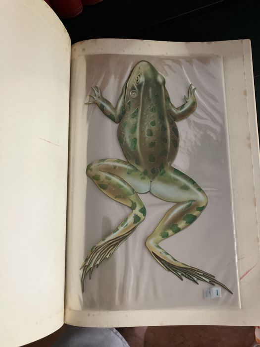 Newnes pictorial knowledge - 11 livros muito visuais sobre ciência