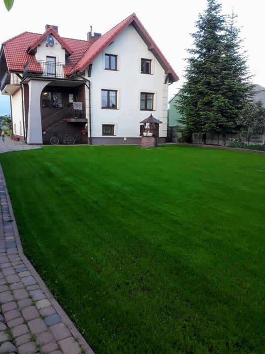 Ogrody trawnik nawodnienie