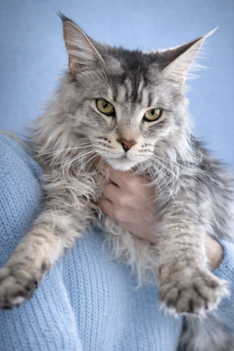 Эффектная красотка