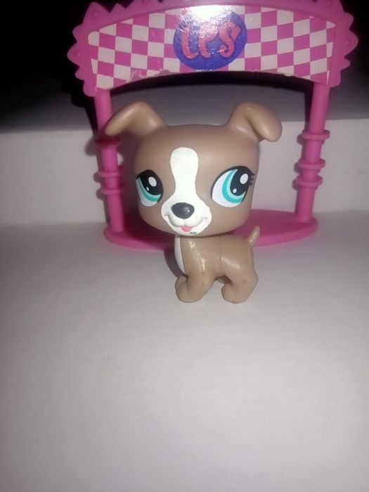 Bokser LPS #1463 Hasbro