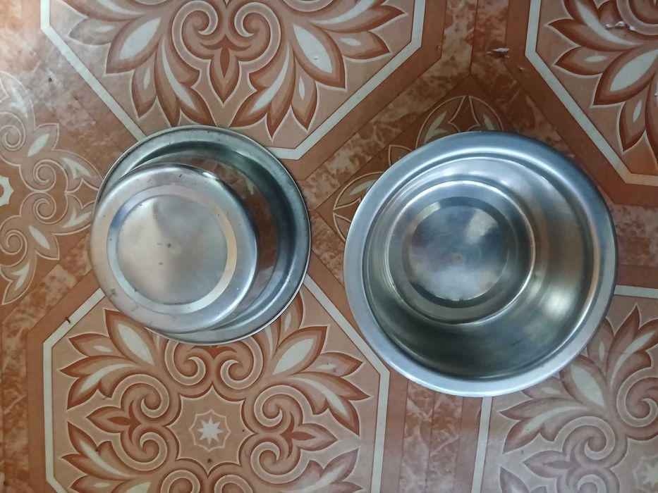 Миска для котика або цуценяти пара