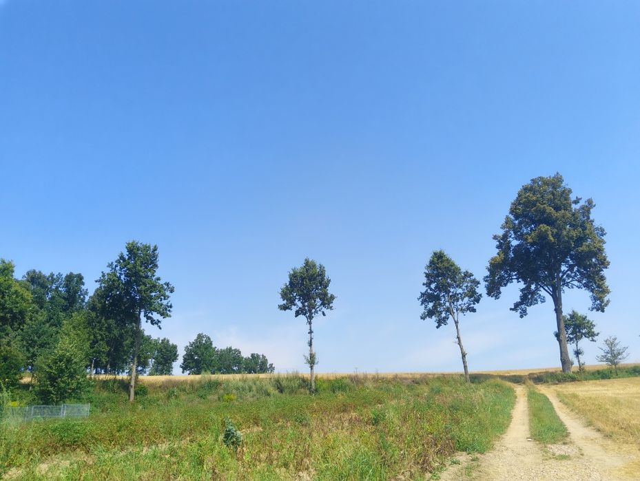 Sprzedam Działki Budowlane - Widok 2
