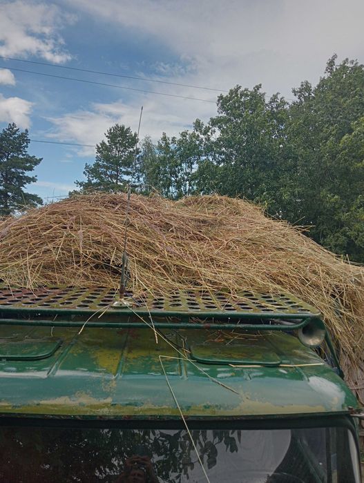 Продам сіно свіжого покоса