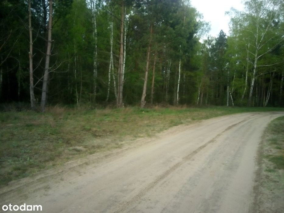 Sprzedam działki budowlane - Widok 3