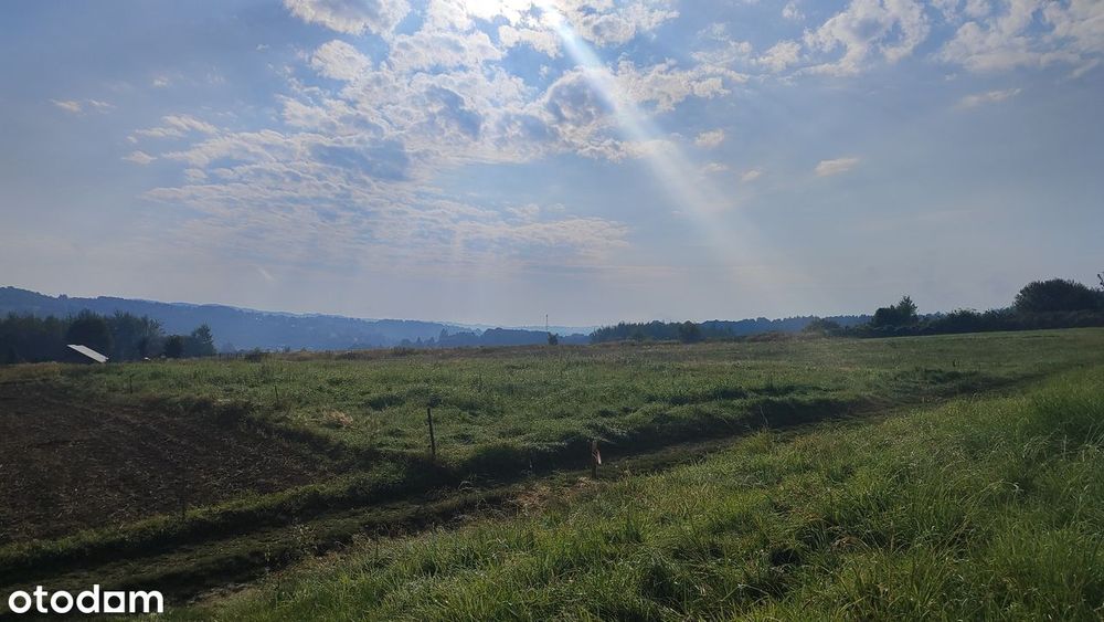 Działka budowlana / WZ Domaradz pow. 15a